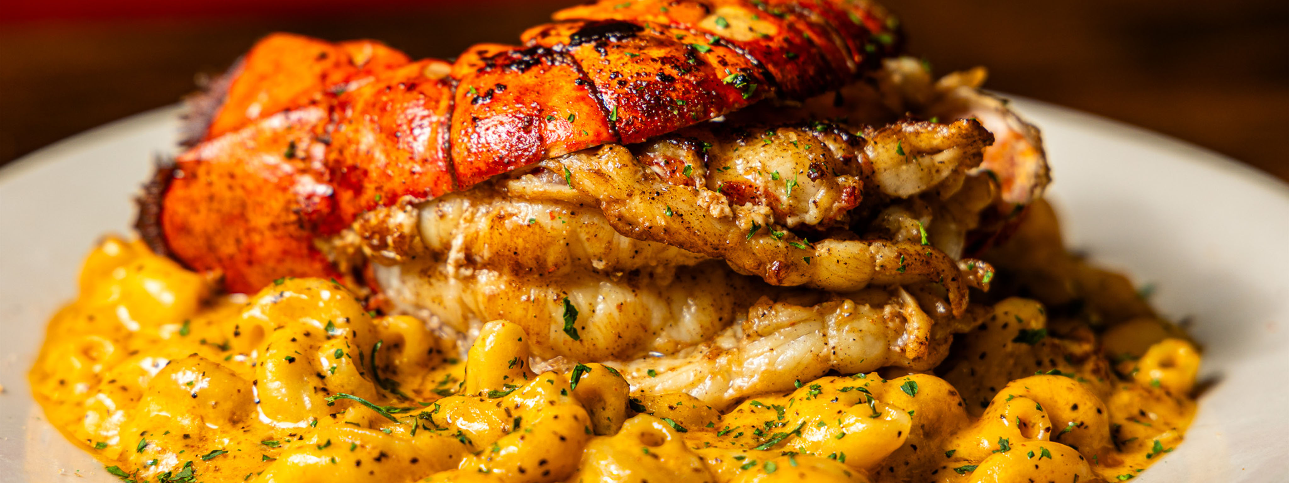 Cluck If You Buck - Lobster Mac & Cheese